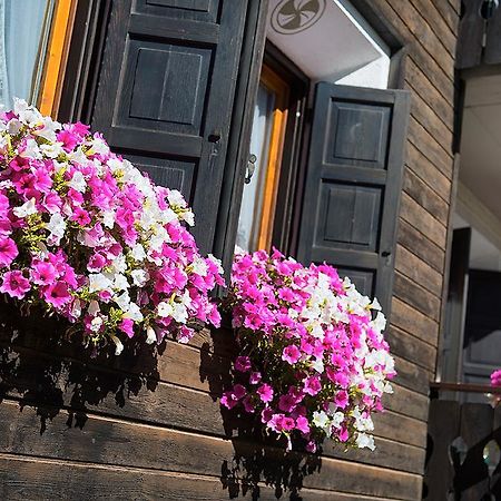 Casa Faifer Mountain Holiday Лівіньо Екстер'єр фото